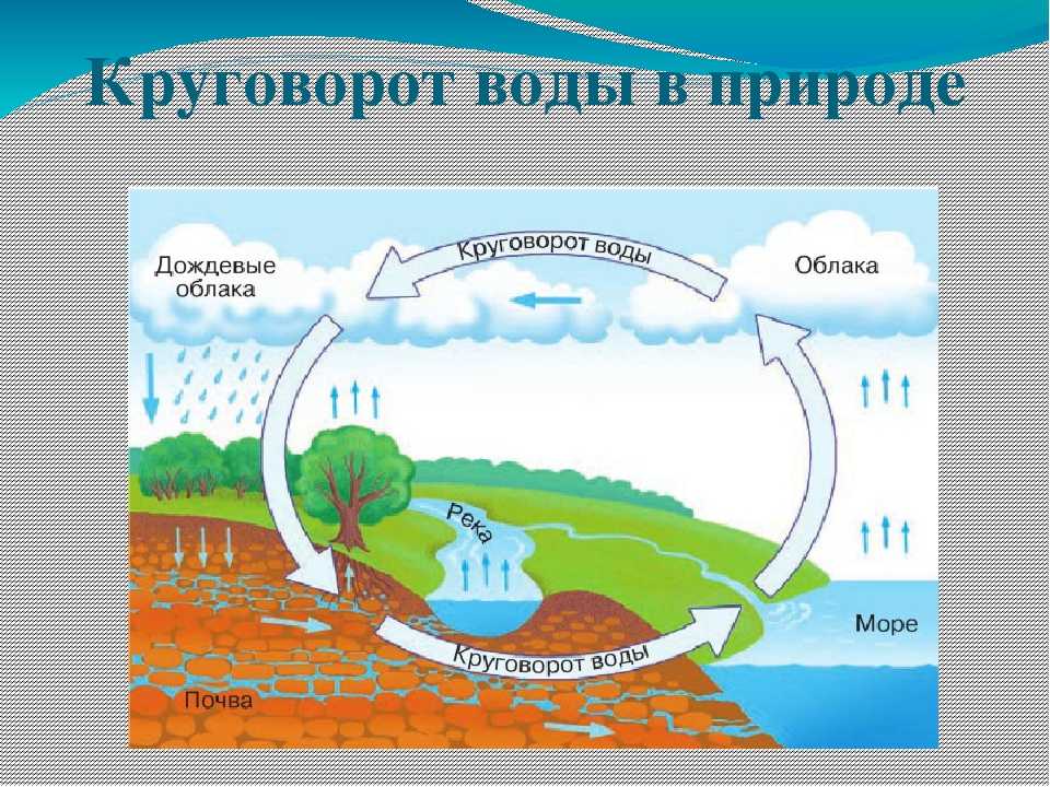 Круговорот воды в природе схема 2 класс окружающий мир рисунок