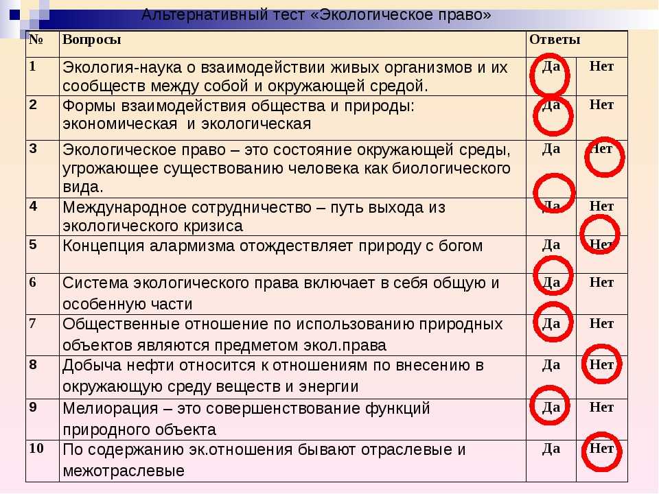 Окружение проекта это тест с ответами