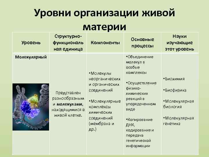 Сообщества биология 9 класс презентация пономарева