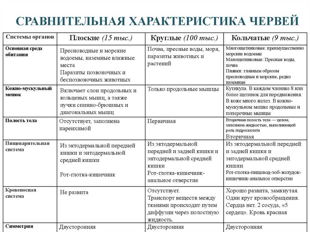 Пользуясь материалом параграфа составьте план ответа по теме общая характеристика червей