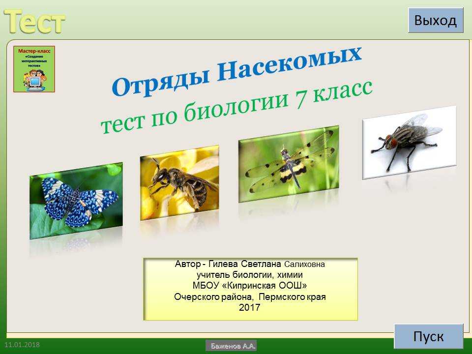 Биология тест класс насекомые. Насекомые биология. Отряды насекомых. Тест отряды насекомых. Класс насекомые 7 класс.