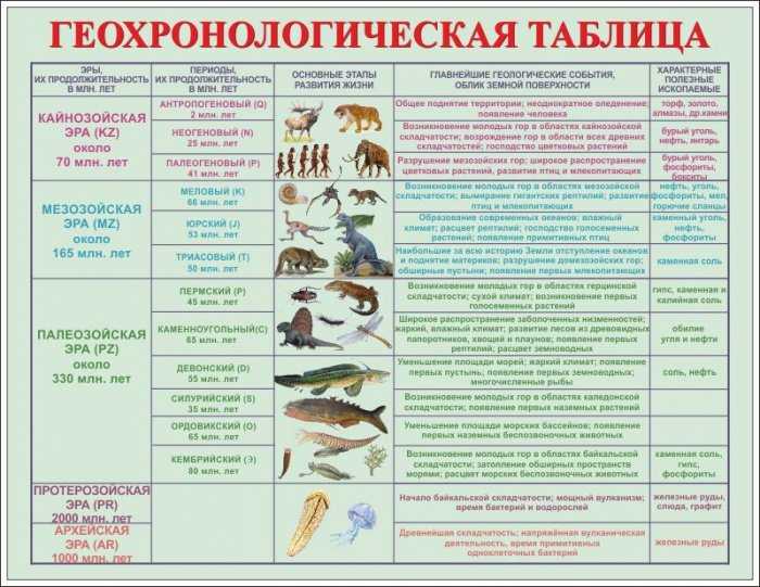 Основные этапы развития жизни на земле презентация 11 класс биология