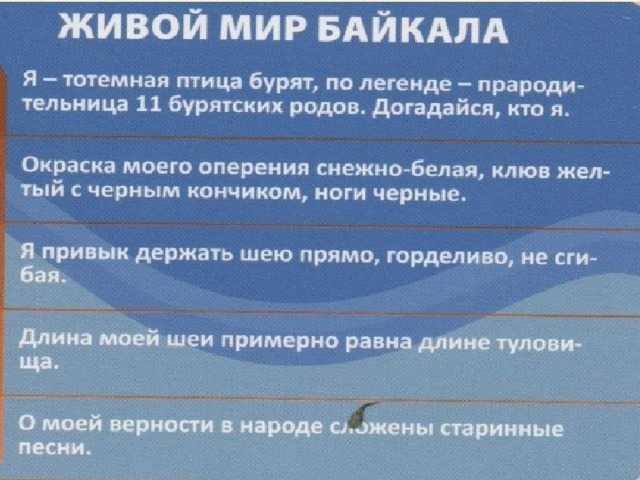 40 впечатляющих и интересных фактов про озеро байкал