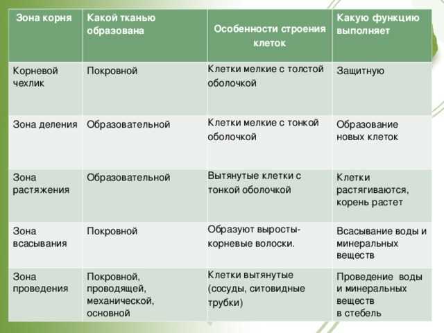 10+ лучших онлайн-тестов на эрудицию и знания для взрослых и детей