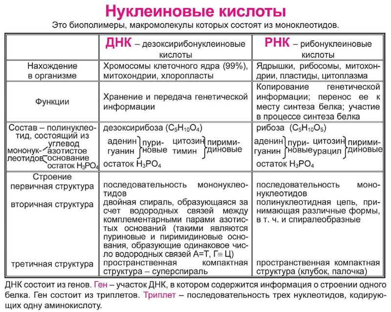 План тем по биологии 10 класс