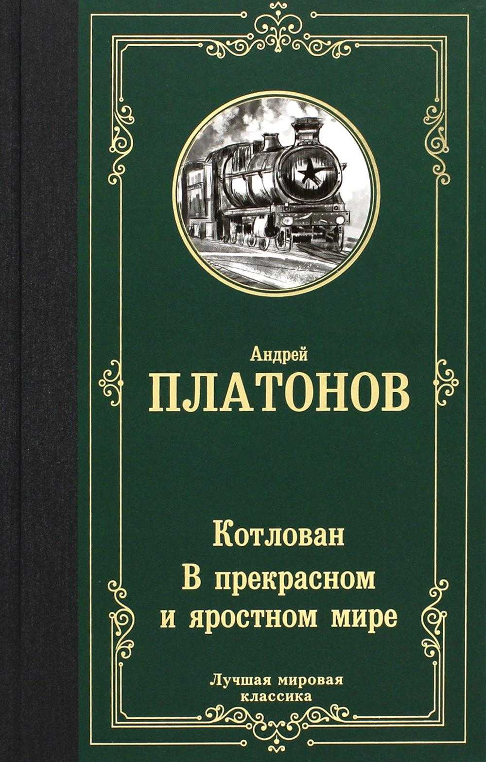 Краткое содержание «в прекрасном и яростном мире» за 2 минуты