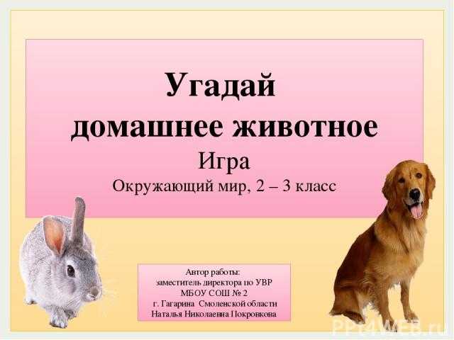 60 интересных вопросов про животных для увлекательной викторины