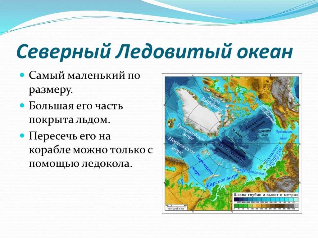 Океан северного ледовитого презентация. Моря Северного Ледовитого океана. Северно Ледовитый океан география. Моря Северо лежовитогл океана. Части Северного Ледовитого океана.