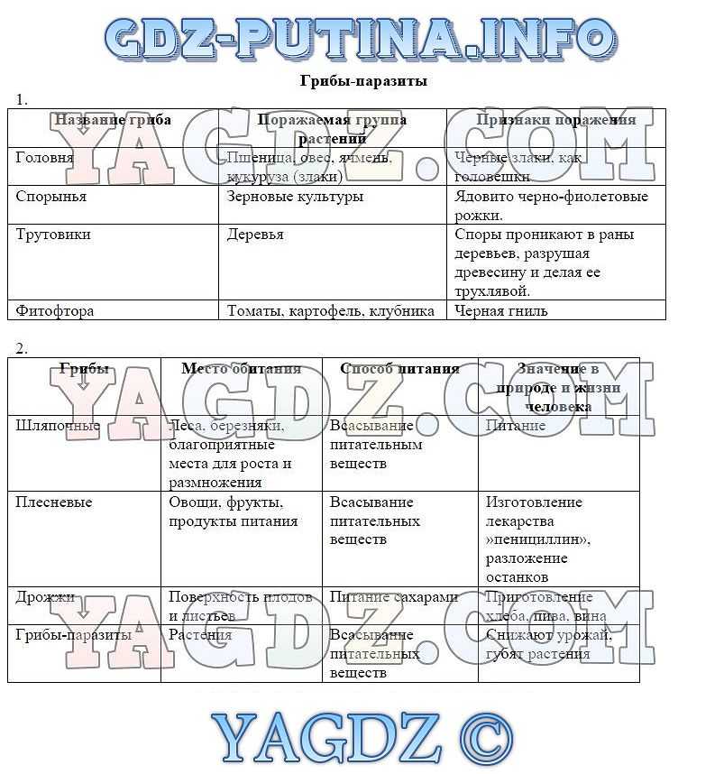 В завершение работы с рисунком заполните таблицу по предложенному образцу биология 7 класс