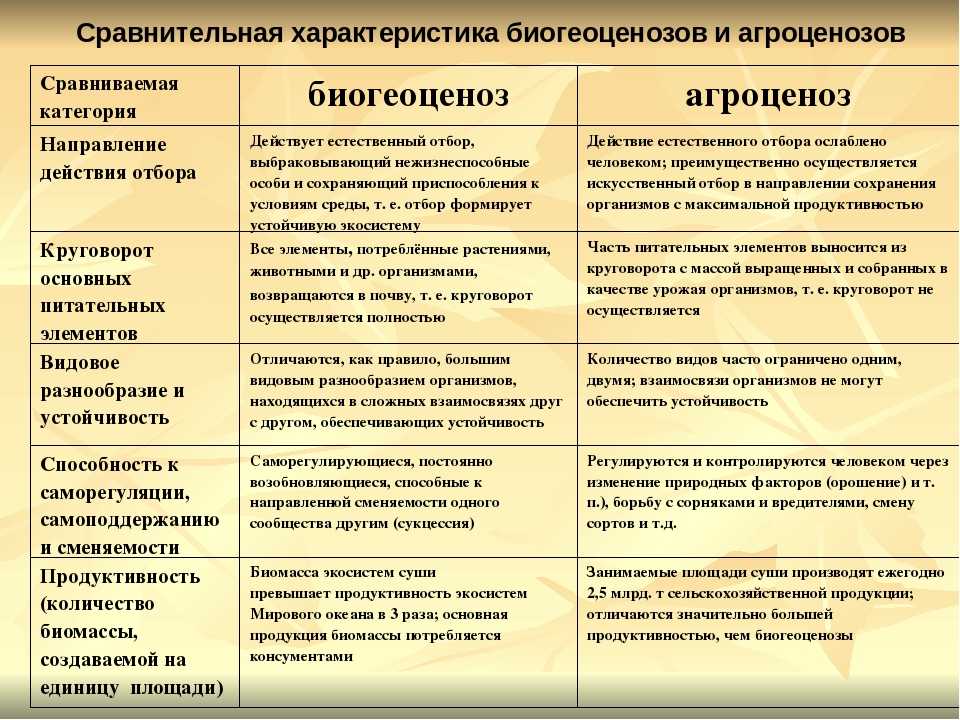 Экосистема, ее компоненты. цепи питания. разнообразие и развитие экосистем. агроэкосистемы.