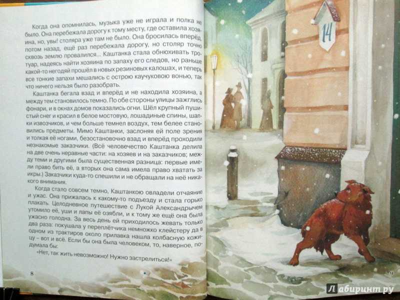 Читать книга чехова каштанка. А.Чехов каштанка 1-4 главы. Иллюстрации к книге каштанка.