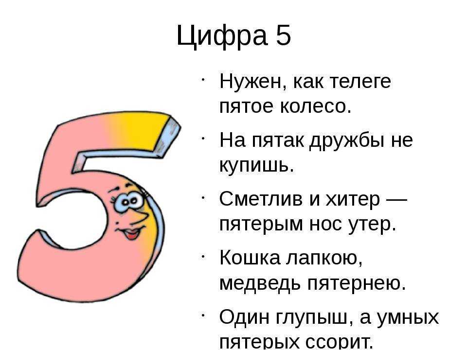 Проект числа 5 для 5 класса