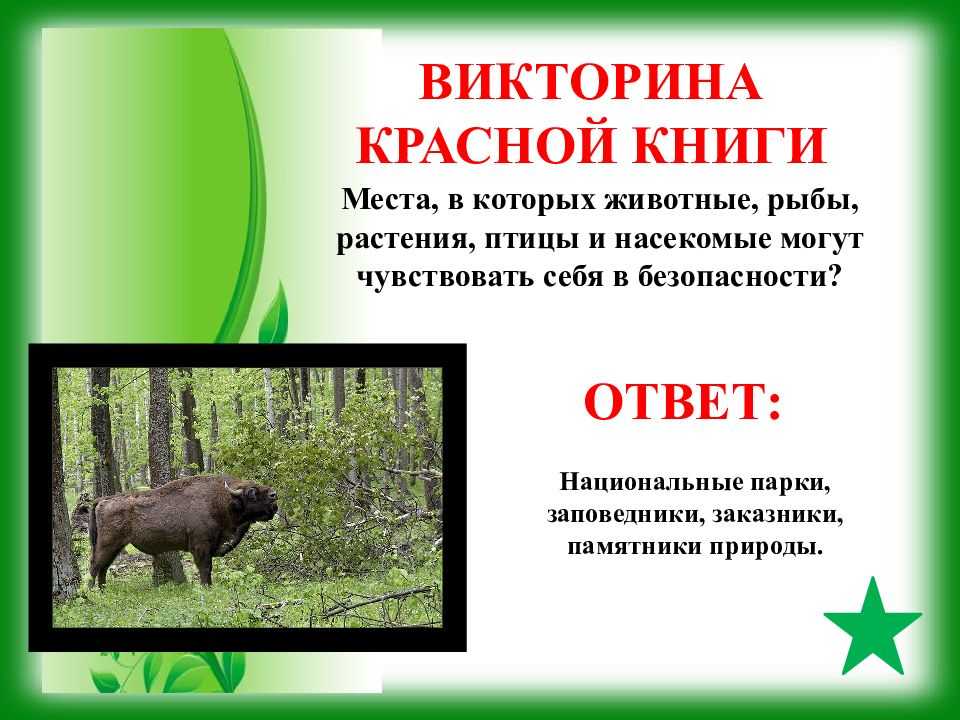 Онлайн-тест на знание животных