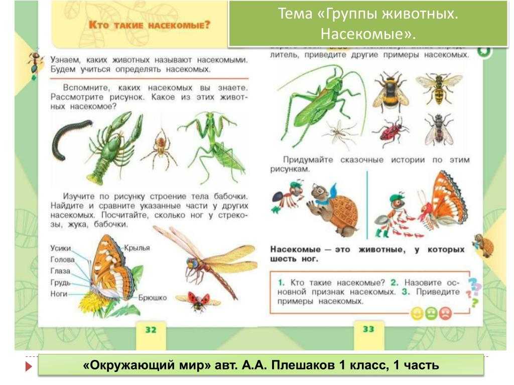 Тест по биологии класс насекомые 7 класс