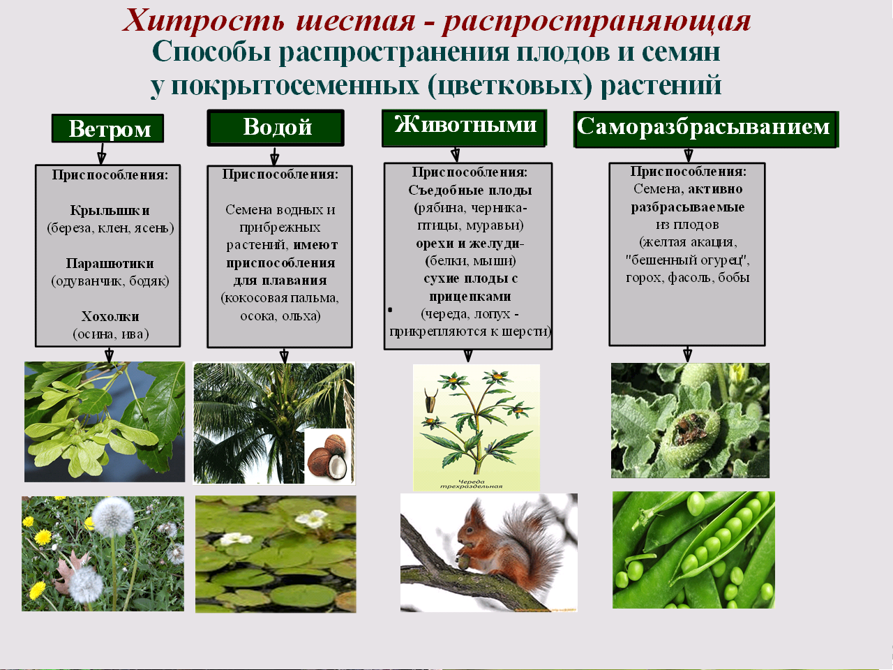 Презентация на тему приспособленность животных к среде обитания