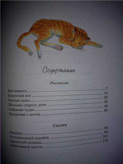 Константин паустовский ★ кот-ворюга читать книгу онлайн бесплатно