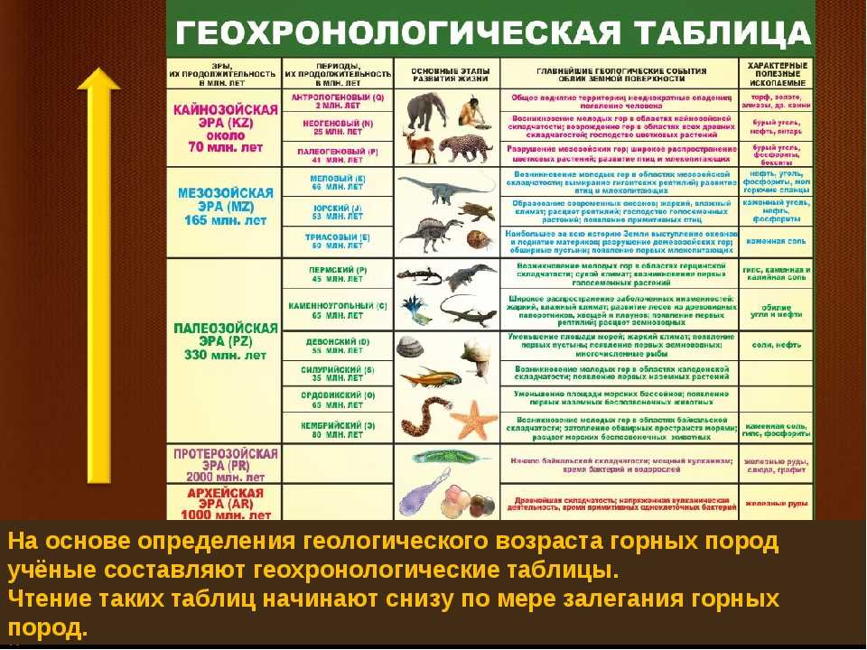 Проект история развития органического мира на земле