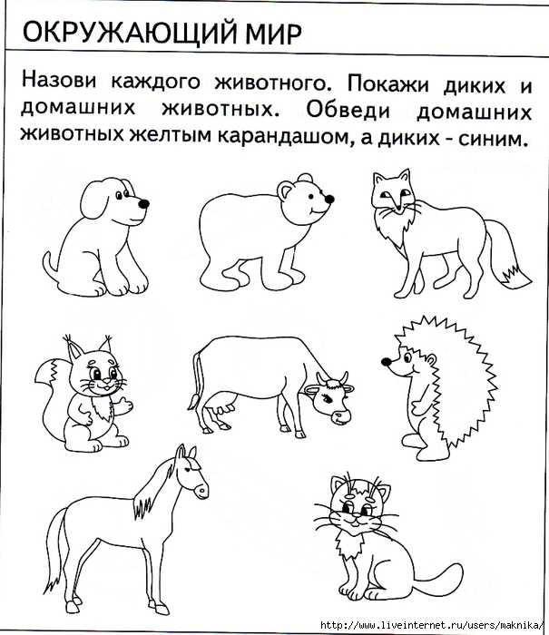 Тесты с вопросами про животных для детей с ответами, дошкольный возраст 4 - 5 лет