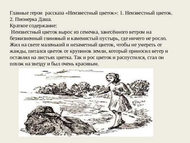 Чему учит сказка «неизвестный цветок» – суть и вывод, о чем заставляет задуматься