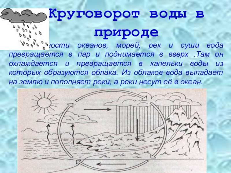 Проект круговорот воды в природе 3 класс