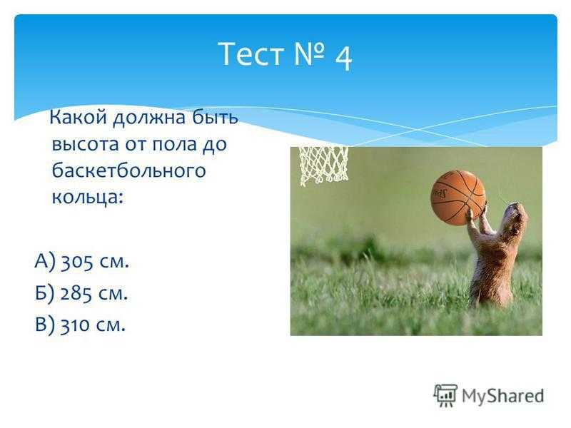 Большая викторина о спорте (99 вопросов)
