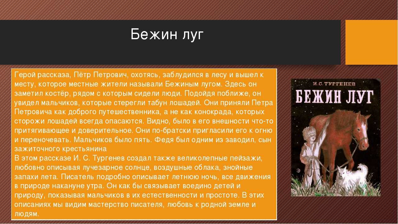 Сборник рассказов записки охотника рассказ бежин луг. Произведение Тургенева Бежин луг. Бнежен Лу г краткое содержани. Краткий сюжет Бежин луг Тургенев. Содержание рассказа и.с.Тургенева 