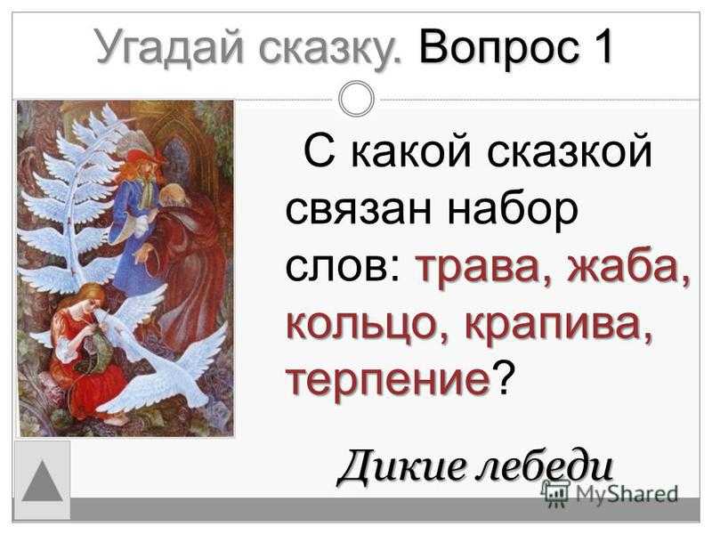 Дикие лебеди викторина презентация