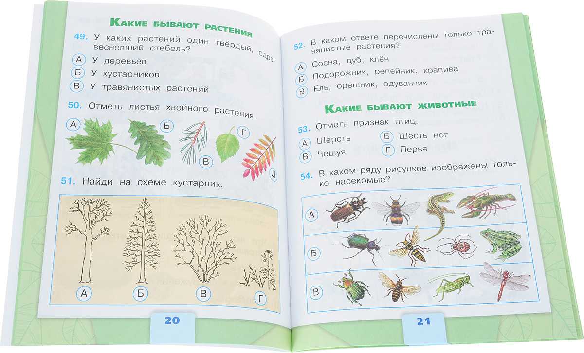 Окружающий мир 2 класс 1 часть. какие бывают растения? стр. 56 – 59