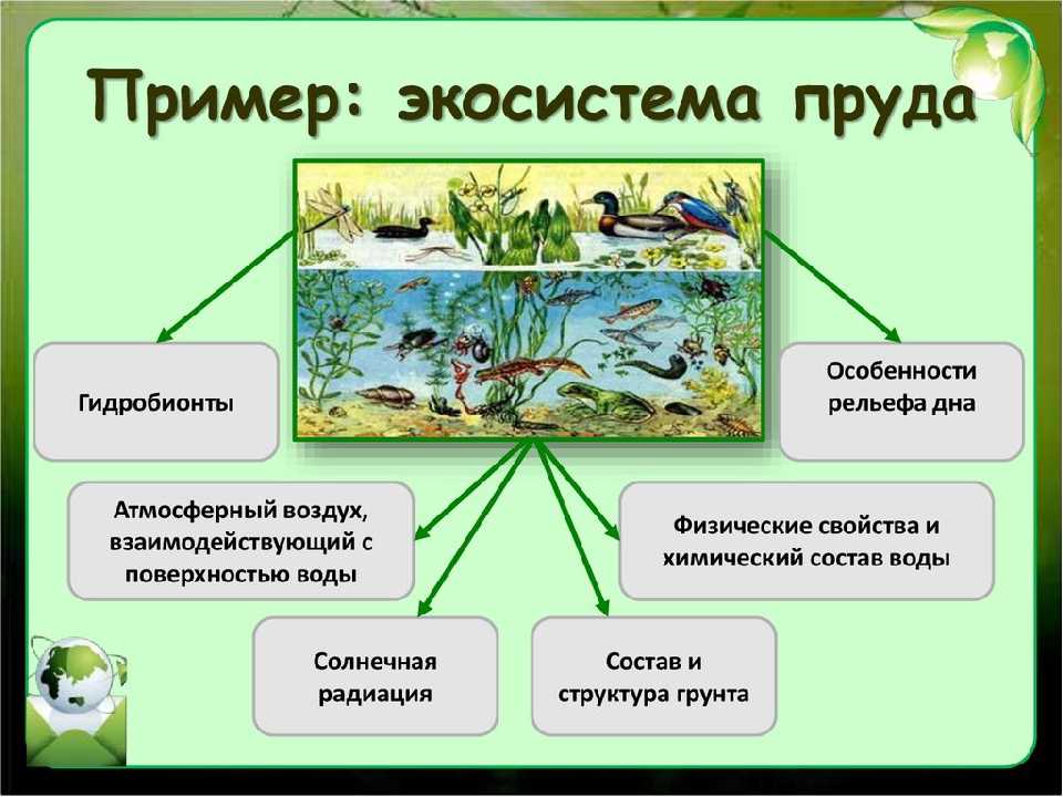 Тест по биологии на тему синтез белка