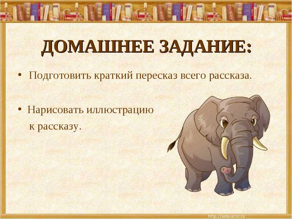 В рассказе слон какие герои