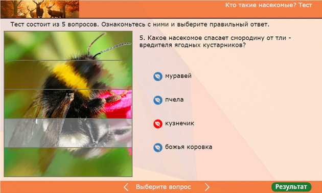 Тест насекомые ответы. Тест насекомые. Кто такие насекомые тест. Задания тест насекомые. Тест насекомые 1 класс окружающий мир.