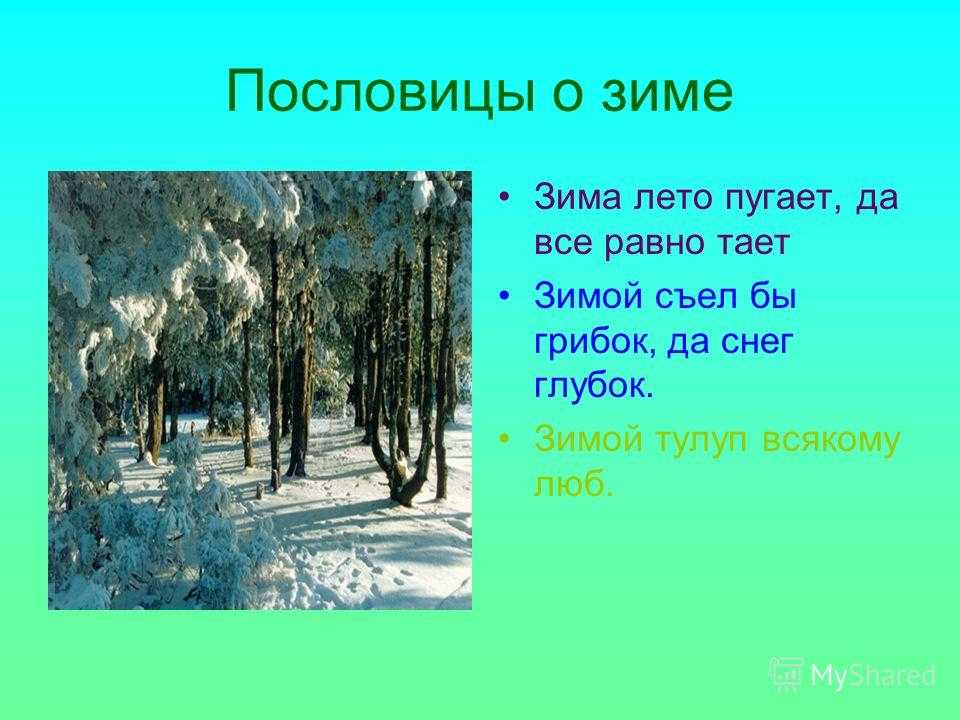 Пословицы и поговорки о зиме читать онлайн бесплатно
