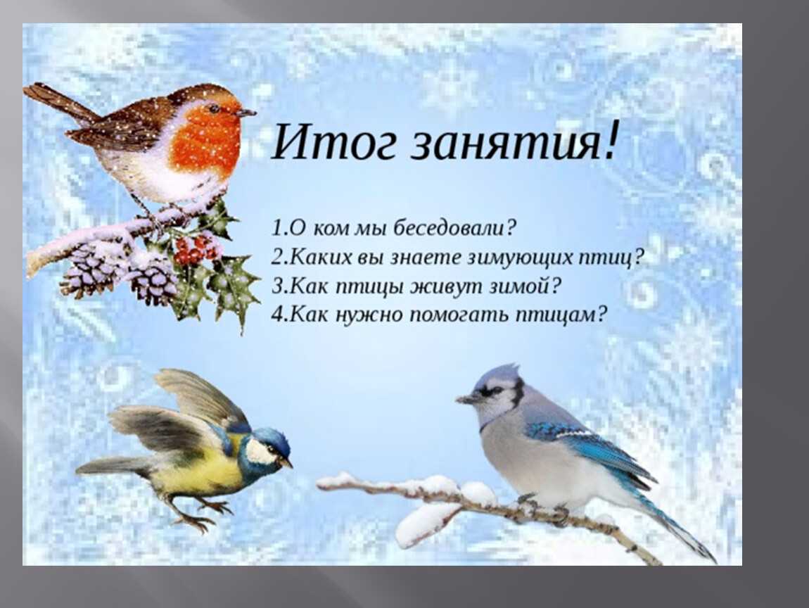 Зимующие птицы. названия, описания и особенности зимующих птиц | животный мир