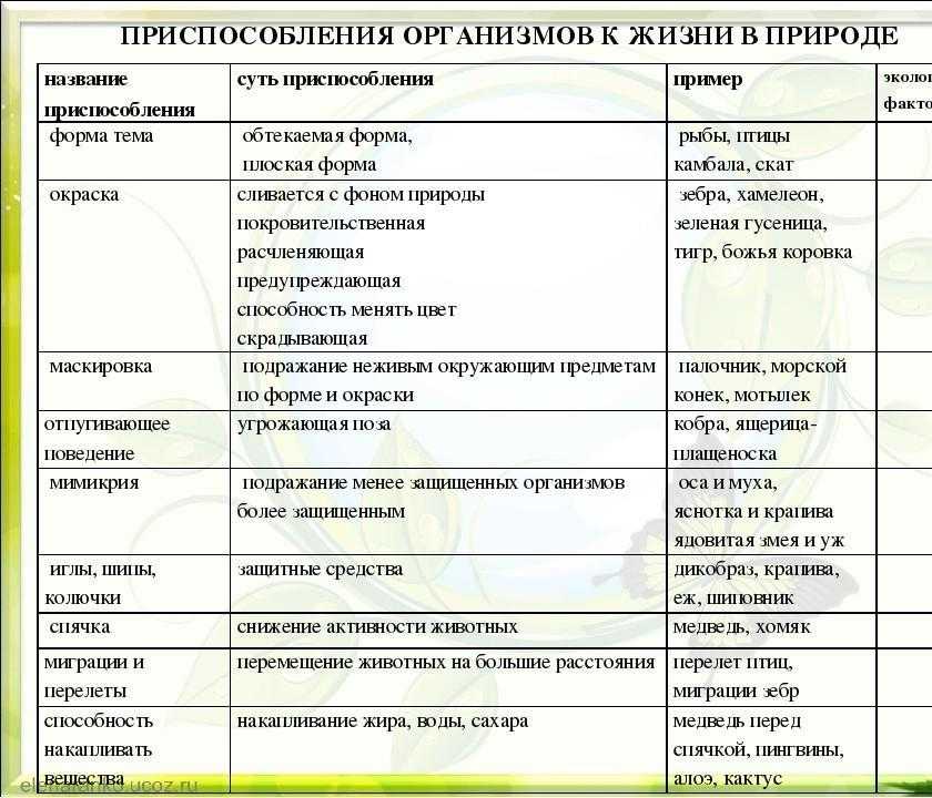 Механизмы приспособления к недостатку воды вида показанного на рисунке являются примером адаптации