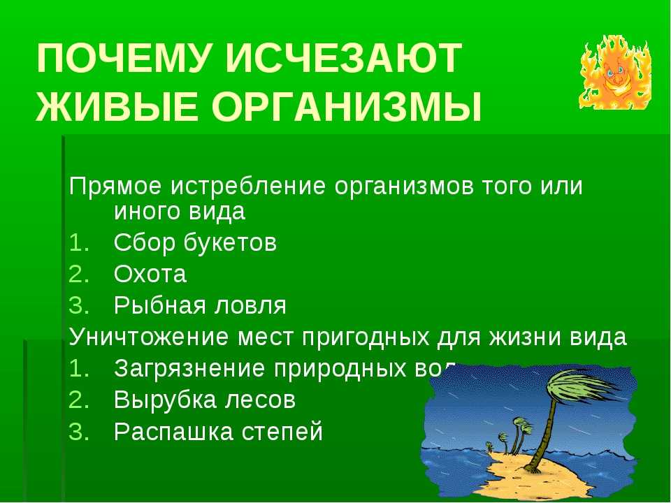 Презентация по биологии 5 класс важность охраны живого мира планеты 5 класс