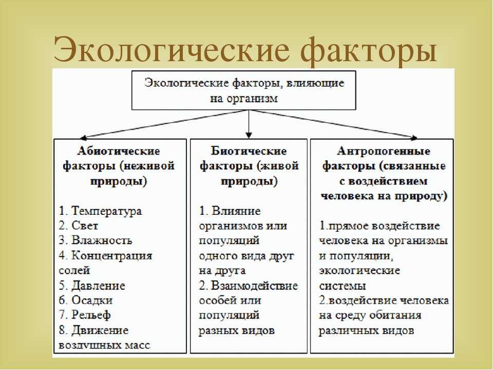 Тест по биологии: среда обитания организмов. экологические факторы (пасечник, 7 класс) - pibarum.ru