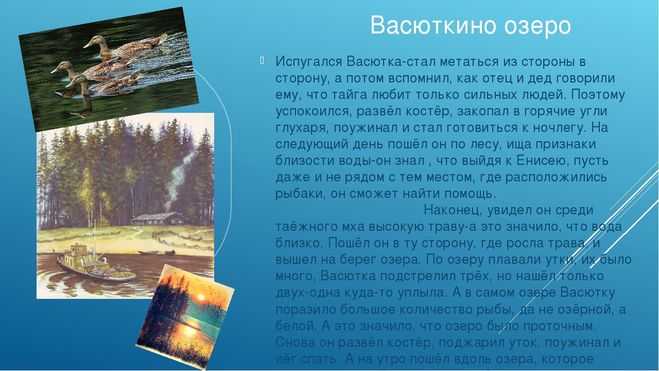 Краткое содержание рассказа «васюткино озеро» в. астафьева » kupuk.net