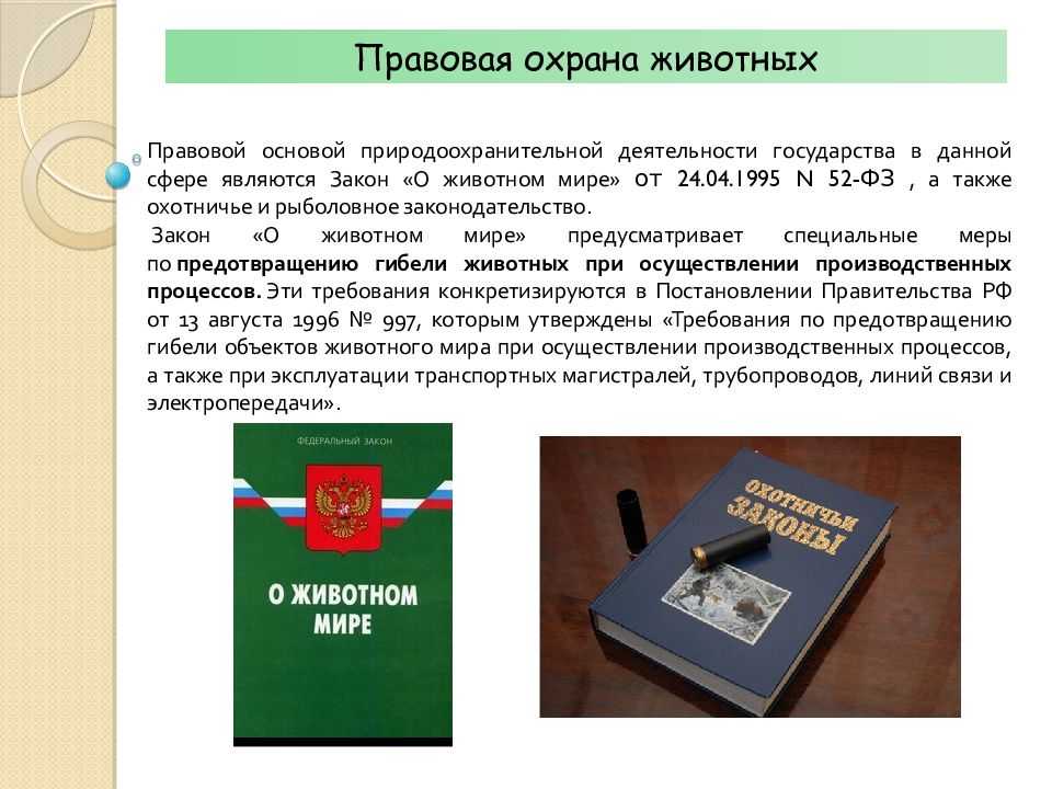 Закон зверя. Закон об охране животных. Правовые основы охраны животного мира. Правове регулирование озраны животного мера. Закон о животном мире.