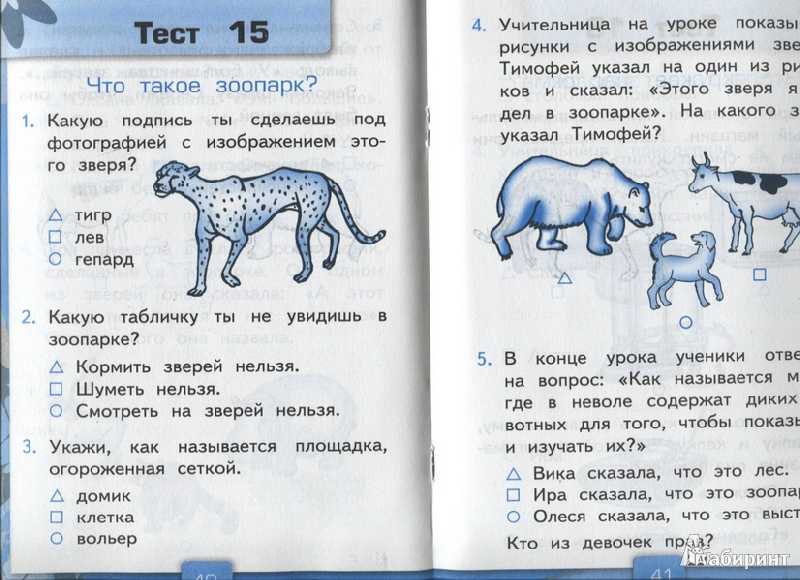 Тест по окружающему миру 3 класс с картинками