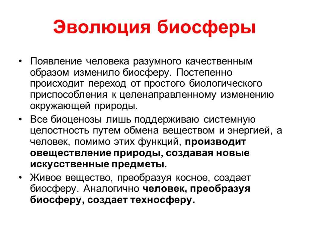 Проверочная работа по теме: "основы учения о биосфере" | тест по биологии (11 класс):