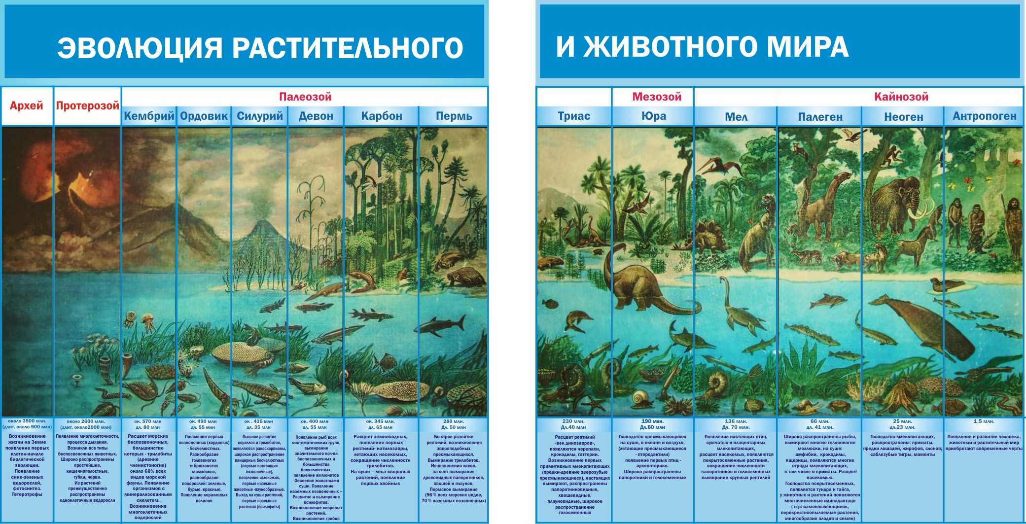 Эры и периоды в развитии жизни на земле