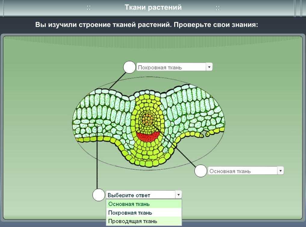 Тест_ент_биология_вариант_005 - bio-lessons