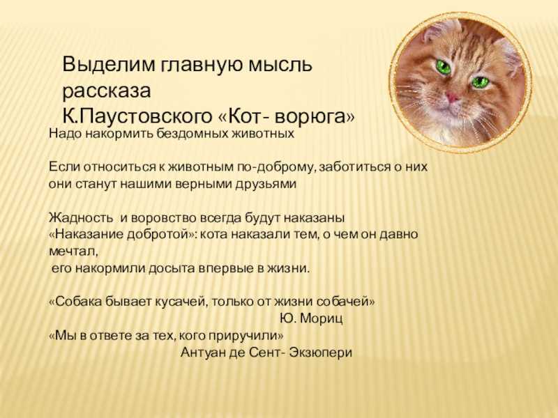 Паустовский «кот-ворюга» читать полностью онлайн