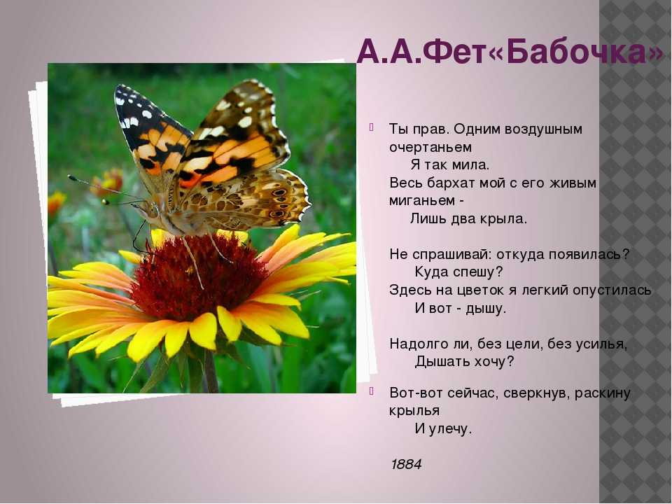 Презентация на тему "викторина по творчеству ф.и. тютчева и а.а. фета" по литературе для 6 класса
