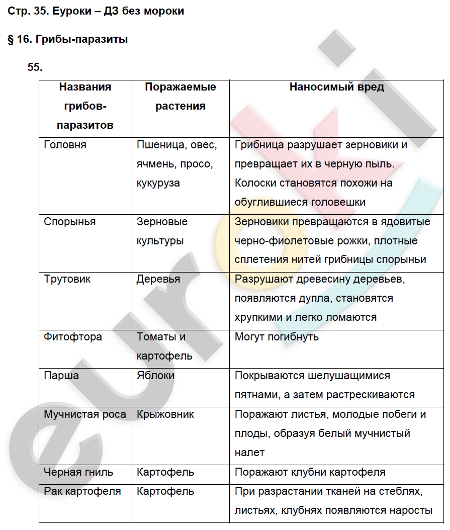Грибы паразиты - описание, виды, строение и размножение