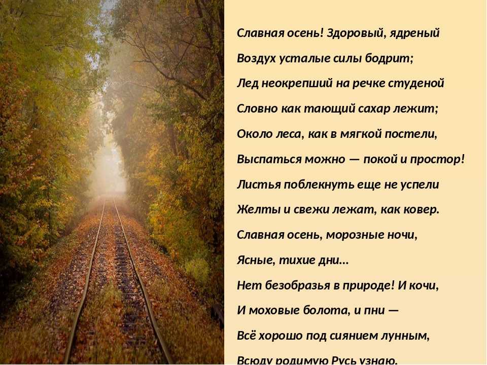 Стихотворение дороги россии
