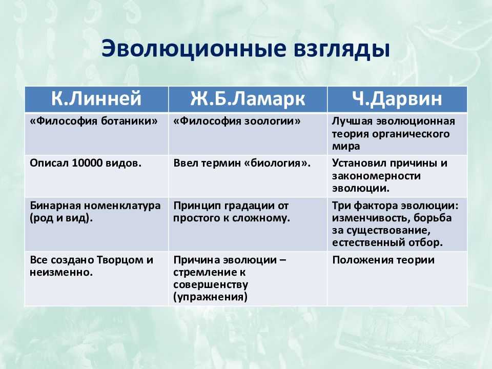 Тест по биологии «чарлз дарвин о причинах эволюции животного мира»