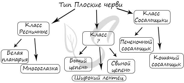 Тип кольчатые черви. тесты по биологии. 7 класс