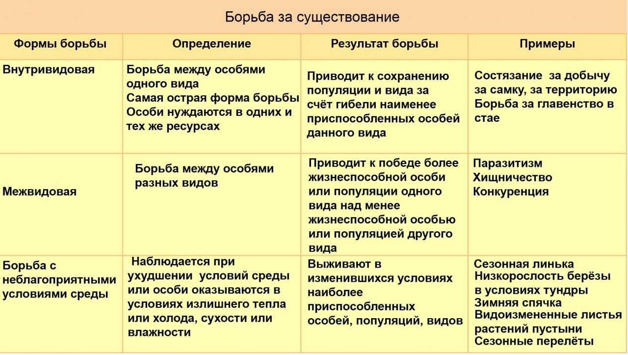 Презентация на тему "борьба за существование и естественный отбор" по биологии для 6 класса