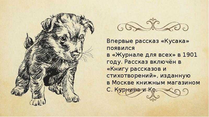 Рисунок по рассказу кусака